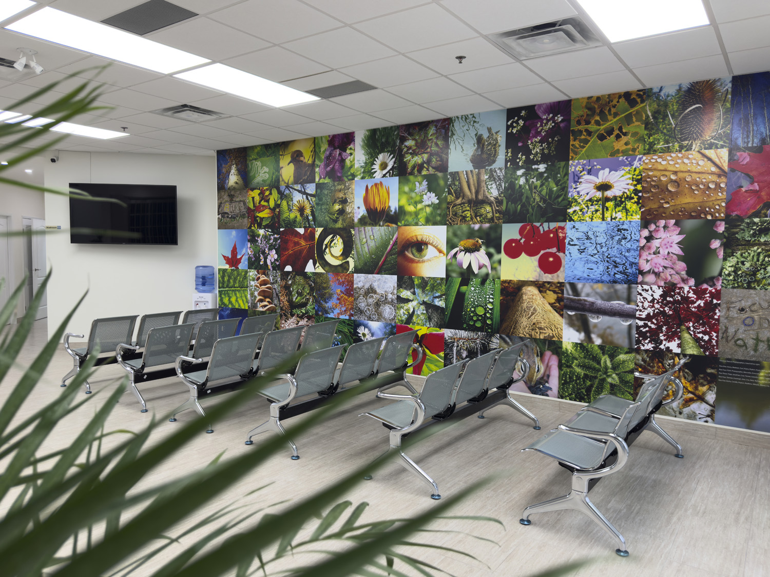 The clinic\u2019s bright waiting area, lined with backlit nature panels