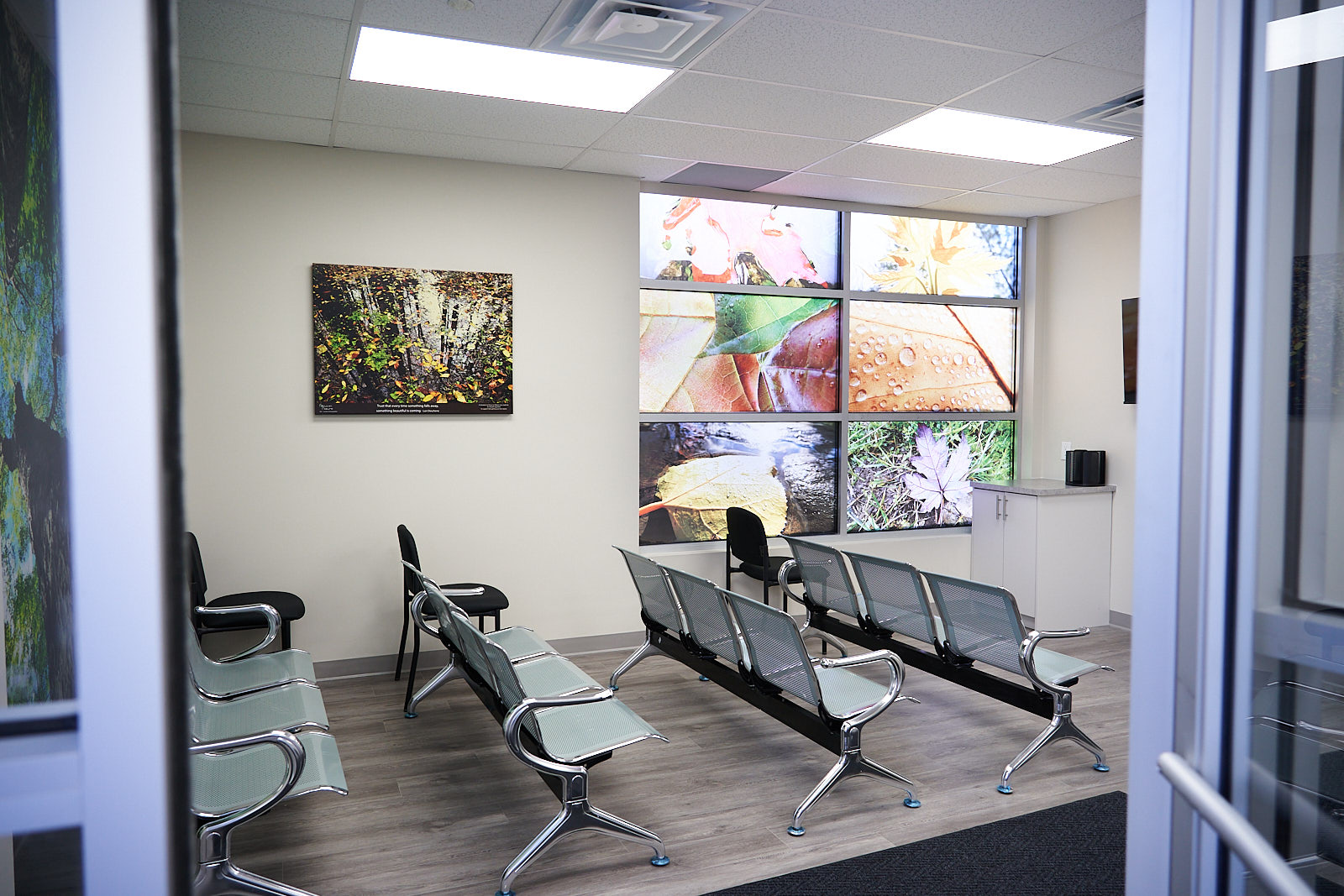 Unit A1 waiting room with nature photography light panels