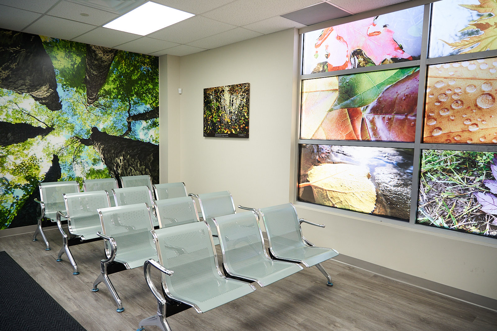 Unit A1 waiting area with forest mural and patient seating